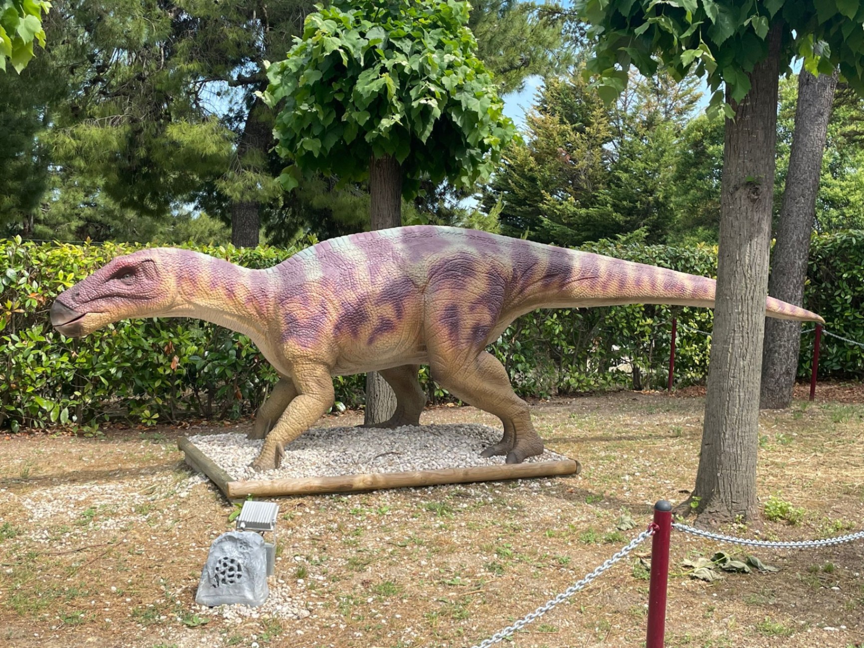 Iguanodon a grandezza naturale al parco dei dinosauri AbruzzoSauro di Notaresco (Teramo)