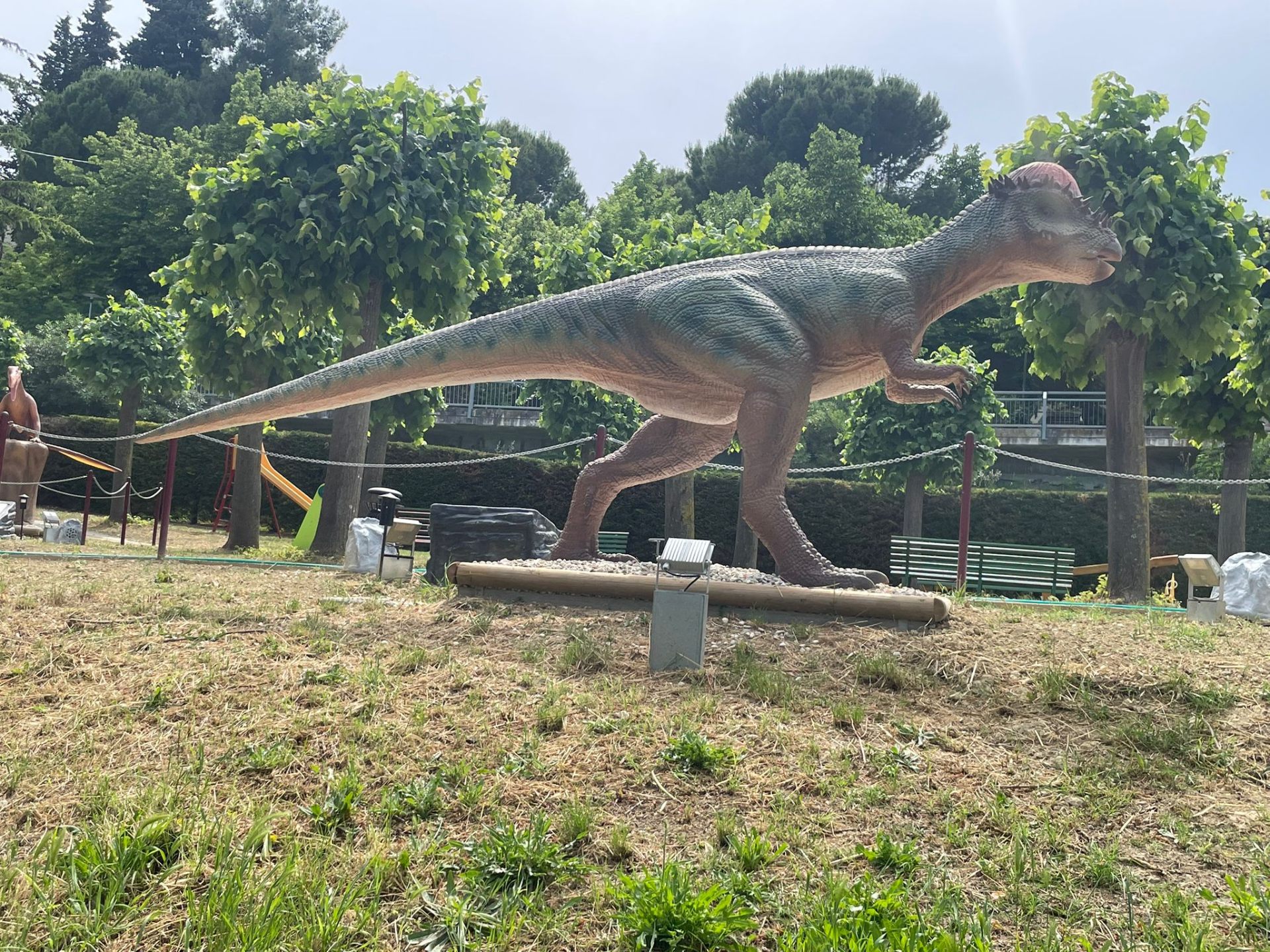 Dilophosaurus a grandezza naturale al parco dei dinosauri AbruzzoSauro di Notaresco (Teramo)
