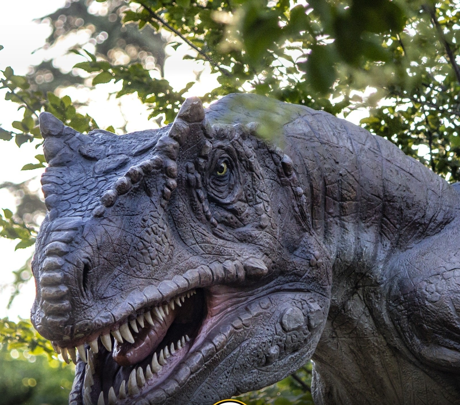 Carnotaurus a grandezza naturale al parco dei dinosauri AbruzzoSauro di Notaresco (Teramo)